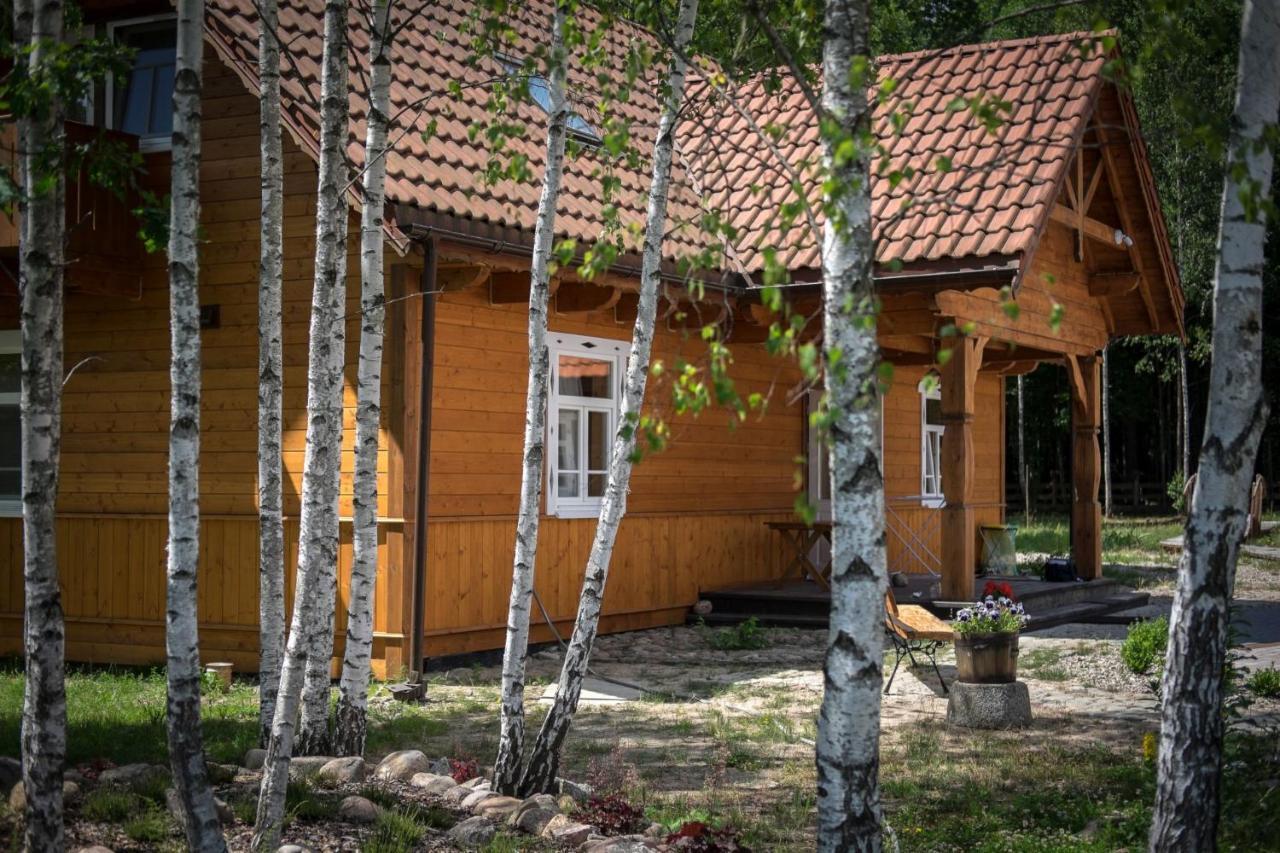 Miodowa Kolonia Bed & Breakfast Białowieża Екстериор снимка